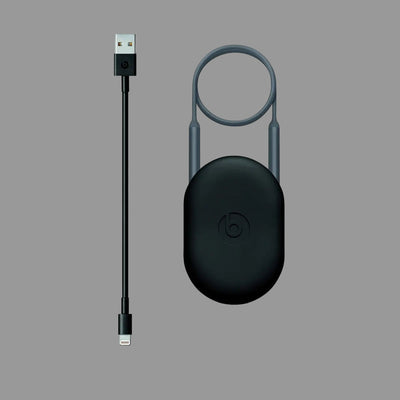 Beats X - Écouteurs intra-auriculaire Bluetooth avec micro GRIS MNLV2ZM/A 0190198114990 Beats