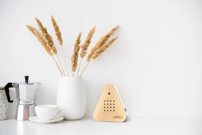 Lakesidebox Bouleau Relaxound JBL