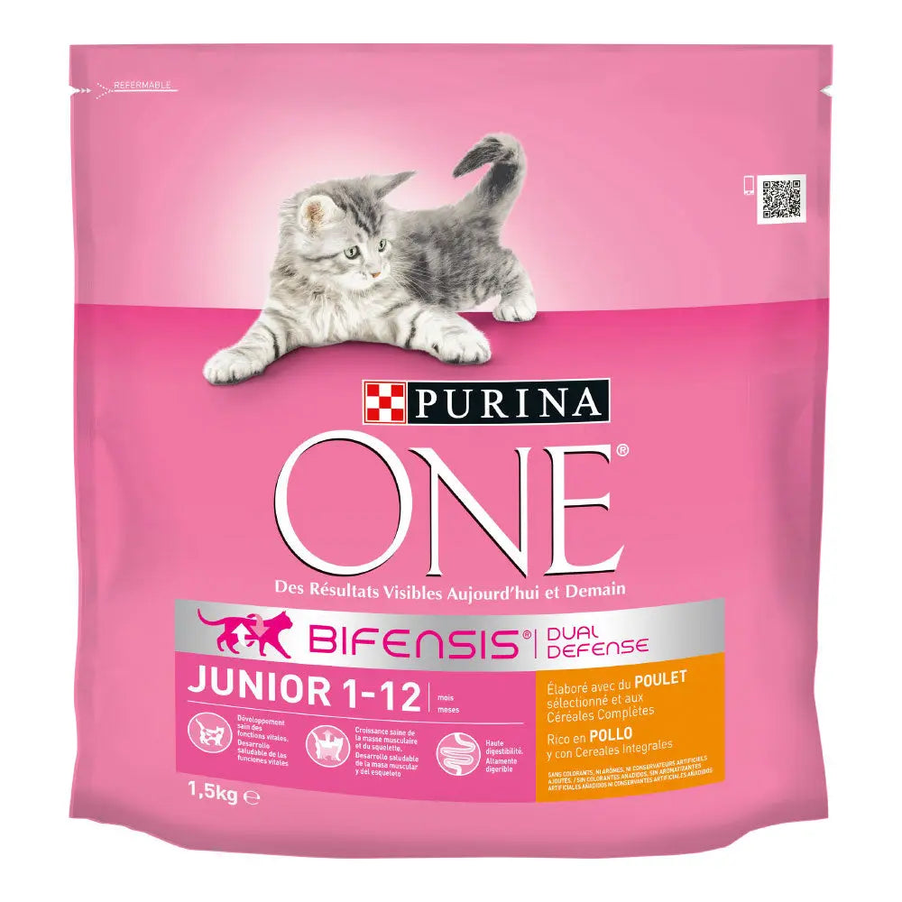 poulet & céréales PURINA ONE Croquettes pour chat – TECIN HOLDING