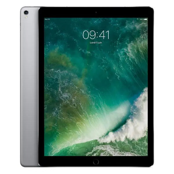 Apple iPad Pro 11 - 2018 - Wi-Fi + Cellular - 256 Go - Gris