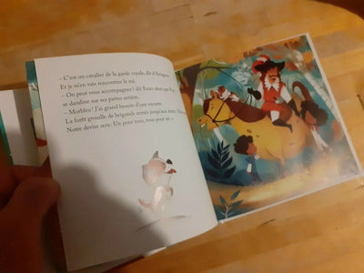 Une aventure avec D'Artagnan TECIN-PRINCIPALE