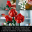 lego 10328 Lego Icons Bouquet de roses lego