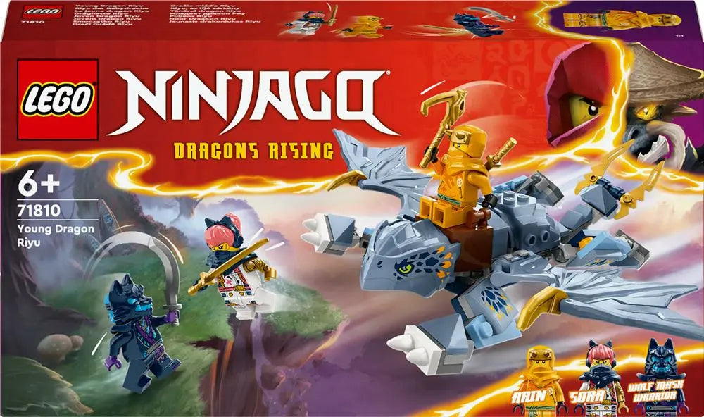 Jouet pour enfant 71810 LEGO Ninjago Le jeune Dragon Riyu lego