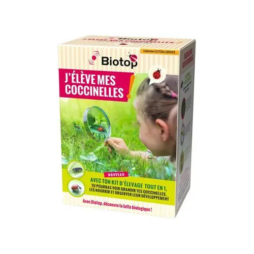 Jouet pour enfant Biotop Kit d'élevage de coccinelles biotop