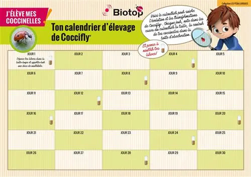 Jouet pour enfant Biotop Kit d'élevage de coccinelles biotop