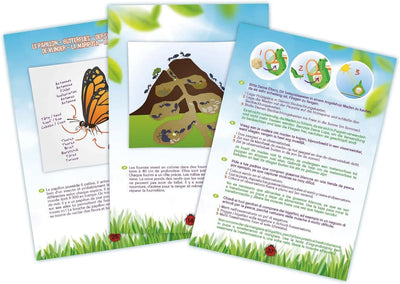 jouet pour enfant Buki Explorateur insectes Buki France