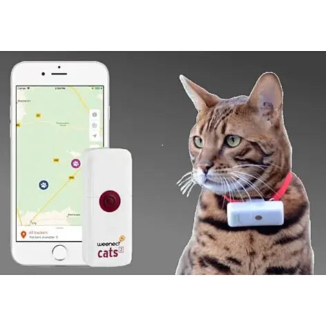 Collier GPS pour chat WEENECT Cats 2 pas perdre son chat / anti fugue