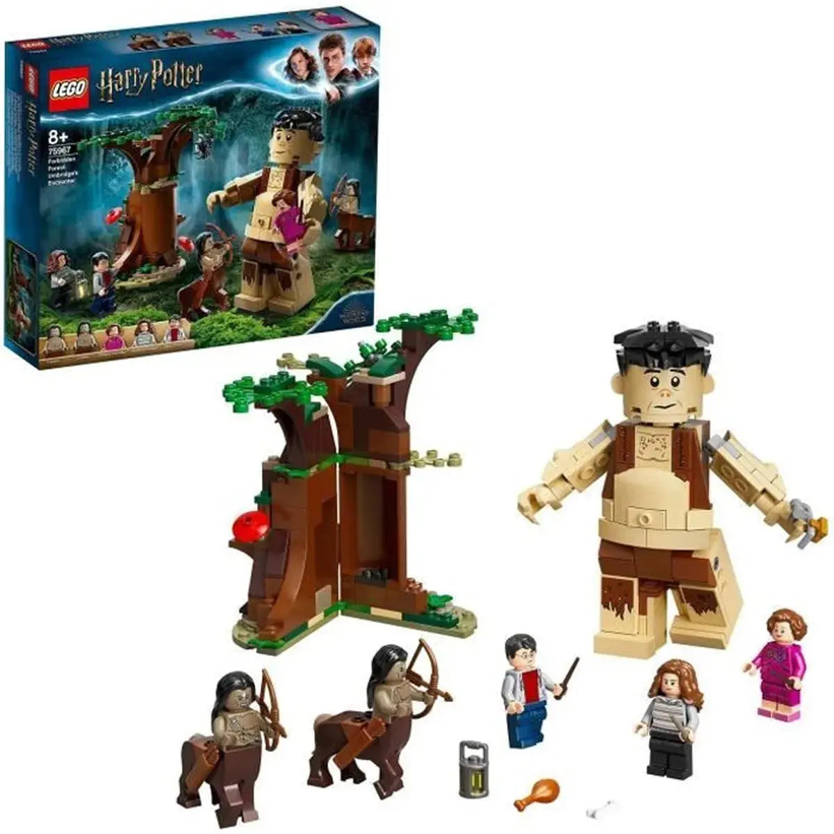 jouets LEGO 75967 Harry Potter La Forêt interdite lego