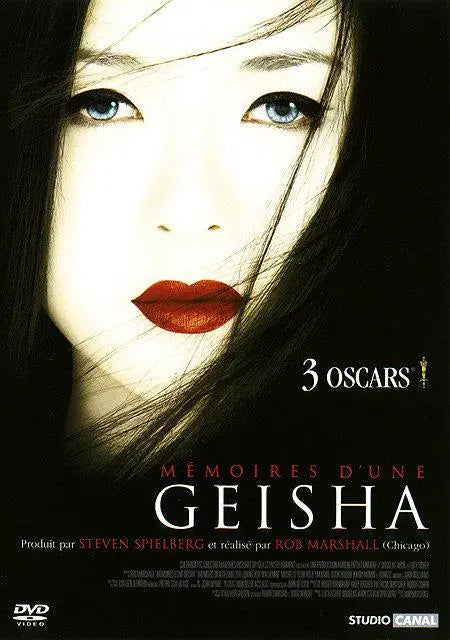 roman Mémoires d'une geisha (2005) DVD Pocket