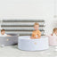 jouet pour enfant MeowBaby Piscine à balles MeowBaby