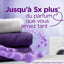 Linge Parfum de Linge Perles Lavande SOUPLINE Soupline