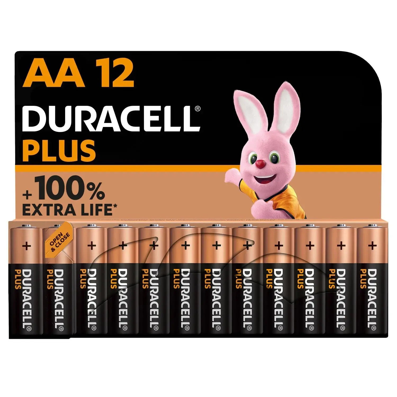 Pile Alcaline AA/LR6 1,5V MN1500 Plus DURACELL - TECIN-PRINCIPALE – TECIN  HOLDING