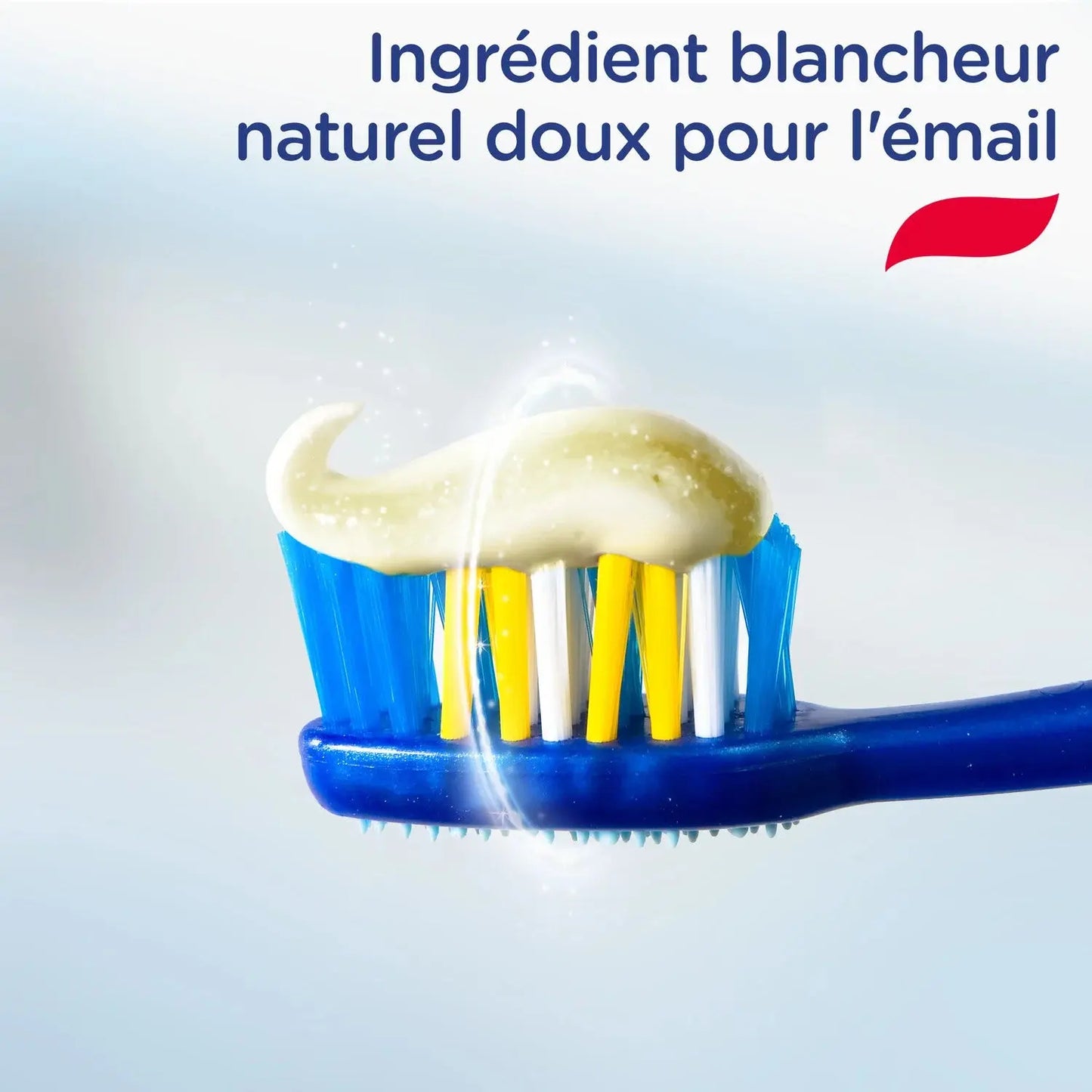 ntifrice Système Blancheur SIGNAL Dentifrice Système Blancheur  SIGNAL  Dentifrice Système Blancheur SIGNAL Signal