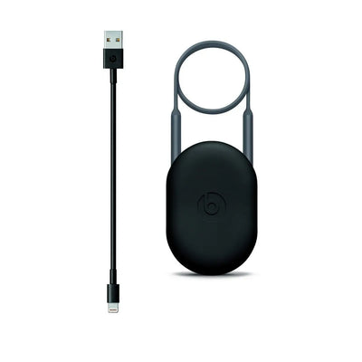 Beats X - Écouteurs intra-auriculaire Bluetooth avec micro GRIS MNLV2ZM/A  0190198114990 Beats