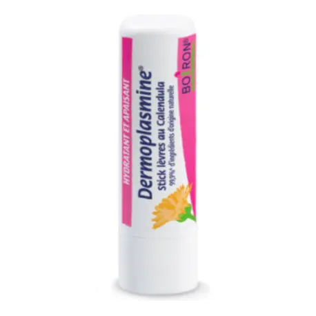 Dermoplasmine Sticks Lèvres 4g Cdiscount