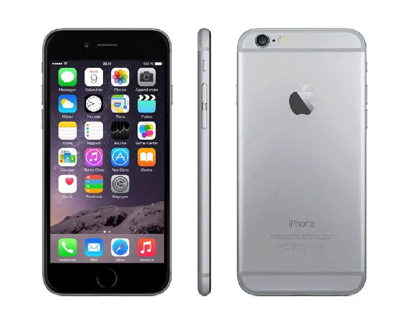 iPhone 6 Plus (gris sideral ) - 128 Go Apple Computer, Inc